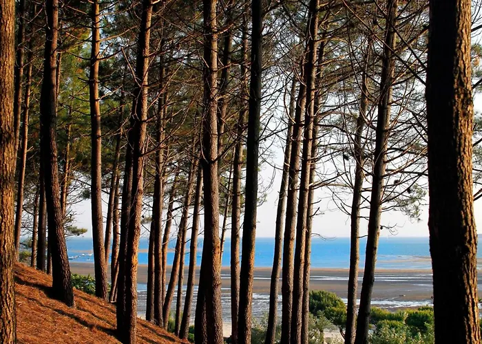 Apartamento Grand Avec Terrasse, Clim, Wifi Et Parking à - Fr-1-420-144 *