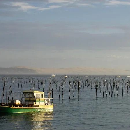 Lejlighed Grand Avec Terrasse, Clim, Wifi Et Parking A - Fr-1-420-144 Arcachon